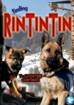 Finding Rin Tin Tin