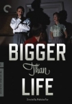 Bigger Than Life