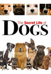 Secret Life of Dogs